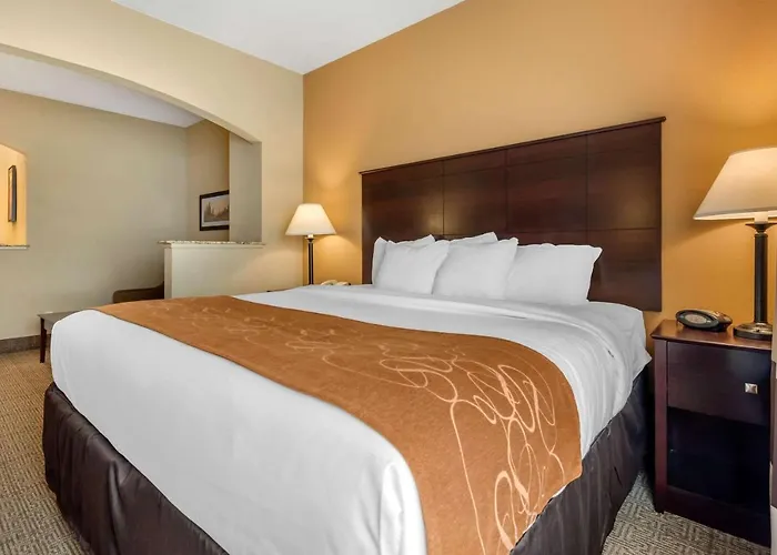 Hotel Comfort Near Route 66