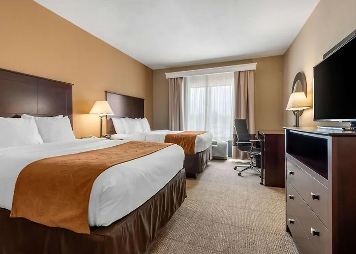 Hotel Comfort Near Route 66 Springfield