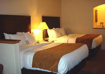 Comfort Near Route 66 Hotel