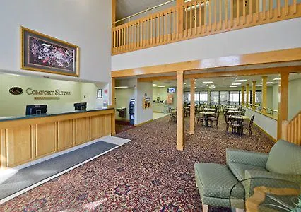 Hotel Comfort Near Route 66 Springfield